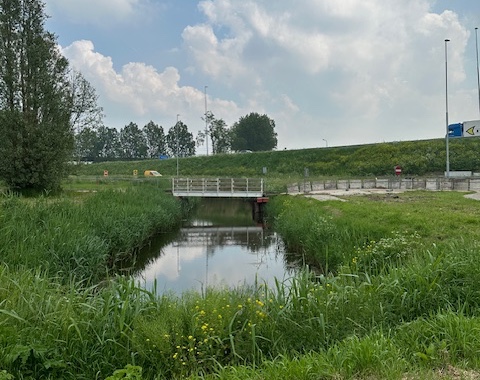 Afbeelding van de tijdelijke fietsbrug over het water bij de Lisserweg, met op de voorgrond gras.